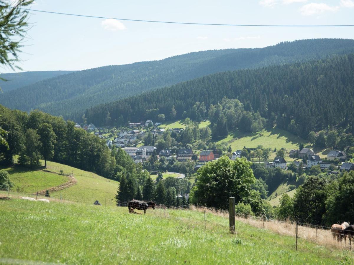 Homey Chalet in Breitenbrunn Rittersgrun with Terrace Exterior foto